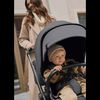 купить Детская коляска Lionelo Carucior 2in1 Layla Beige Sand в Кишинёве 
