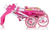 купить Кукла Chipolino Коляска для /кукол Dolly multicolor KZKDL02401MC в Кишинёве 