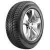 купить Шина Roadstone 245/45 R 18 WG Ice Plus 100 T в Кишинёве 