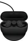 купить Наушники беспроводные Jabra 20797-999-889 Evolve2 Buds MS, Link 390c Wireless Charging Pad в Кишинёве 