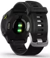 cumpără Ceas inteligent Garmin Forerunner® 55 (010-02562-10) în Chișinău 