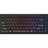 cumpără Tastatură gaming Dark Project ALU Terra Nova Black - Wireless în Chișinău 