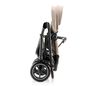 купить Детская коляска Britax-Römer SMILE 5Z Style Teak (2000041710) в Кишинёве 