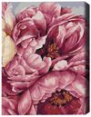 cumpără Tablou pe numere BrushMe BS40543 40x50cm (în cutie) Inflorirea bujorilor în Chișinău 