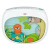 cumpără Lampă de veghe Fisher Price FXC59 Проектор для сна în Chișinău 