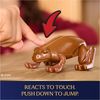 cumpără Jucărie miscellaneous 6074630 Harry Potter, Шоколадная лягушка în Chișinău 