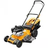 купить Газонокосилка Tolsen 149CMC 50cm (79624) в Кишинёве 
