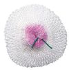 купить Товар для пикника Primus Accesoriu Mantle (pack of 3) for LP Gas Lanterns в Кишинёве 