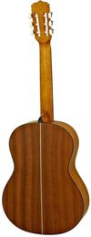 купить Гитара Aria A-10 MTN Chitara Classic в Кишинёве 