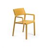 купить Кресло Nardi TRILL ARMCHAIR SENAPE 40250.56.000 (Кресло для сада и террасы) в Кишинёве 
