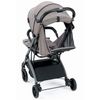 cumpără Сărucior pentru copii CAM Compas 202 Grigio în Chișinău 