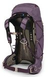 купить Туристический рюкзак Osprey Eja 38 Purple Dusk WXS/WS (810165740273) в Кишинёве 