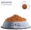 купить Корм для питомцев CLUB 4 PAWS 24230995 Pachet junior pui 5 kg в Кишинёве 
