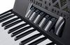 купить Цифровое пианино Startone Piano Accordion 72 Black MKII в Кишинёве 