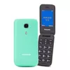 cumpără Telefon mobil Panasonic KX-TU400EXC în Chișinău 