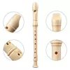 cumpără Instrument muzical de suflat Parrot PR 02 Blockflute German în Chișinău 