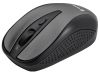 cumpără Mouse Tracer Joy II, Dark Grey RF Nano în Chișinău 