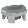 купить Детский горшок Roxy Kids HP-255GG HandyPotty 3в1 серый и вкладка серая в Кишинёве 