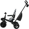 купить Велосипед-коляска KinderKraft KRAVEO02GRY0000 Aveo 2 Plus Grey в Кишинёве 