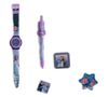 cumpără Carnet Disney FZZ4910 Set cadou cu ceas Frozen Fzz în Chișinău 