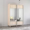 купить Шкаф Mobildor-Lux Арон с горизонтальными раздвижными дверцами из зеркала (160x60x200H см) Sonoma в Кишинёве 