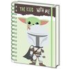 cumpără Carnet Pyramid International Sr73882 Star Wars (The Mandalorian) A5 Wiro Notebook în Chișinău 