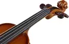 купить Скрипка STENTOR SR 1400 1/2 S/H в Кишинёве 