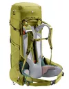 cumpără Rucsac turistic Deuter Aircontact Core 60+10 cactus-ivy în Chișinău 