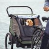 купить Аксессуар для велосипеда THULE Courier pentru transportul cainilor (20301001) в Кишинёве 