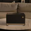 cumpără Boxă portativă Bluetooth Edifier ES300 Black în Chișinău 