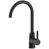 купить Смеситель кухонный Helika-AquaSanita 5523JG-601 SABIA GRACE Black metallic в Кишинёве 