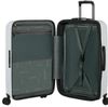 купить Чемодан Samsonite 2wander 75/28 TSA Exp Gri Deschis (159911/B011) в Кишинёве 