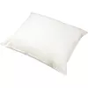 cumpără Set de perne si plapume Polydaun 4AFN300900 First Nature hoofdkussen 60x70, 1000gr Beige în Chișinău 