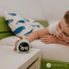 купить Часы-будильник Mary’s MW20530 Small Green Dino в Кишинёве 