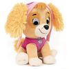 cumpără Jucărie de pluș Paw Patrol 6058439 Skye, 15cm în Chișinău 