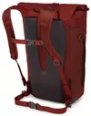купить Рюкзак спортивный Osprey Transporter FLAP 20 ruffian red в Кишинёве 