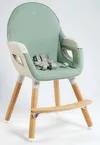 cumpără Scaun de masă BabyGo BGO-5452 transformabil Scandi Green în Chișinău 
