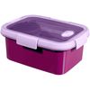 купить Контейнер для хранения пищи Curver 232689 To Go Lunch Kit cu tacamuri 1,2l violet в Кишинёве 
