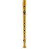cumpără Instrument muzical de suflat Hohner The Magic Flute – B9508TMF - Flaut drept în Chișinău 