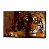cumpără Tablou pe numere Art Gallery CX4462 20x30cm Tigru serios în Chișinău 