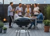 купить Мангал GardenLine BBQ5238 в Кишинёве 