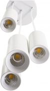 купить Освещение для помещений LED Market BIG PLATE Round Pedant Lamp LM-PC3003- 3*7W+1*12W 4000K White в Кишинёве 