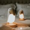 купить Ночной светильник Mary’s MW20789 LED + Difuzor Bluetooth в Кишинёве 