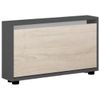 cumpără Raft pentru încălțăminte Mobildor-Lux Leo Slim 60x16x47H cm Anthracite/Sonoma în Chișinău 