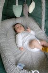 купить Гнездо для новорожденных BabyJem 489 Babynest cu bara jucarii Between parents Gri в Кишинёве 
