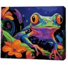 cumpără Tablou pe numere BrushMe RMGB006FC 30x40сm (pânză neagră/fără cutie) Privirea junglei în Chișinău 