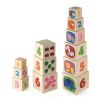 cumpără Jucărie Viga 50392 Nesting Stacking Blocks în Chișinău 