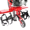 cumpără Motocultor Hecht 747 Motosapa (843229500) în Chișinău 