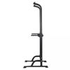купить Турник inSPORTline 2703 Aparat multifunctional Power Tower PT60 IN21512 в Кишинёве 