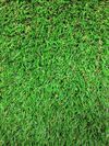 Ландшафтная декоративная трава газон PP 18mm
